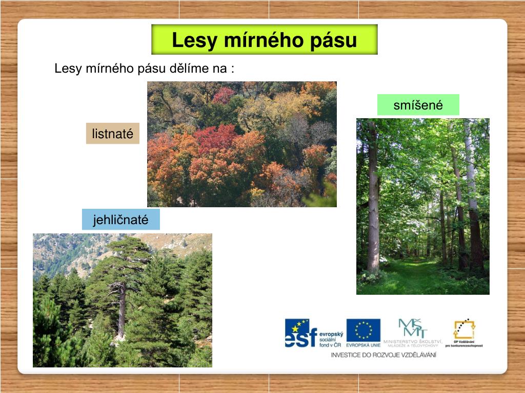 PPT - LESY MÍRNÉHO PÁSU PowerPoint Presentation, free download - ID:2700926