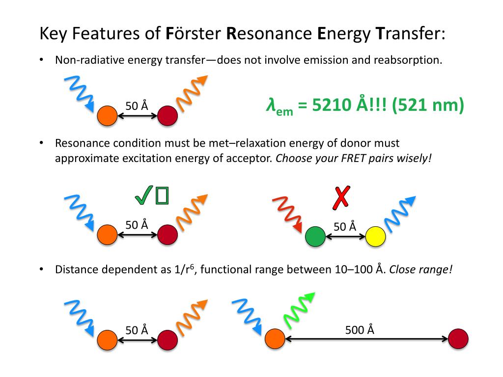 PPT - Exploring Förster Resonance Energy Transfer in Biological Systems ...