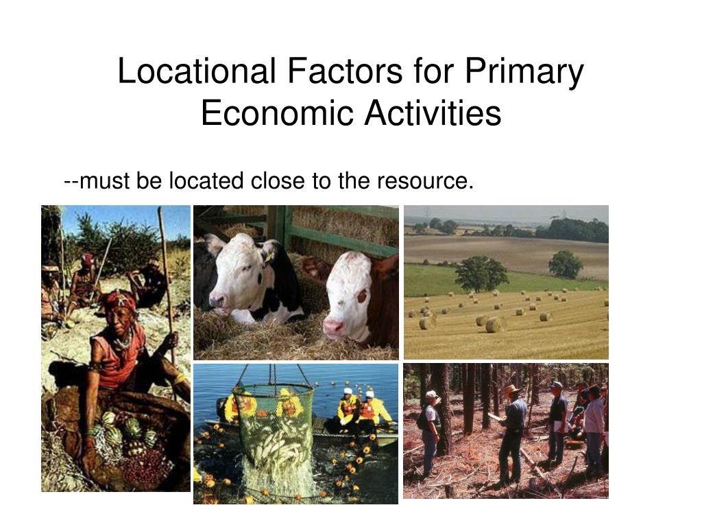 assignment problems and the location of economic activities