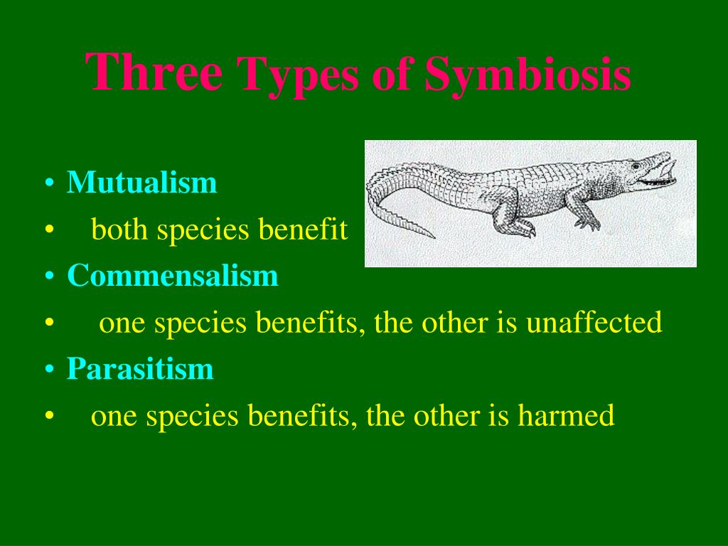 Three Type Of Symbiosis