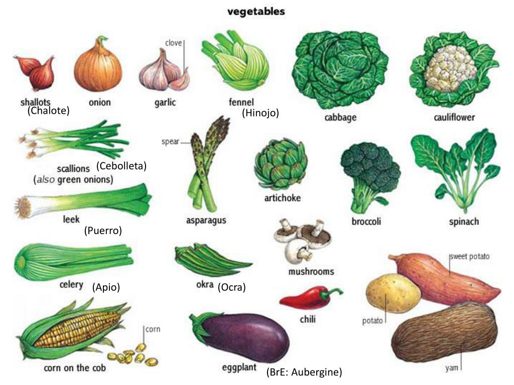 Овощи слова русский. Название всех овощей. Овощи по названию. Овощи картинки с названиями. Овощи с названиями для детей.