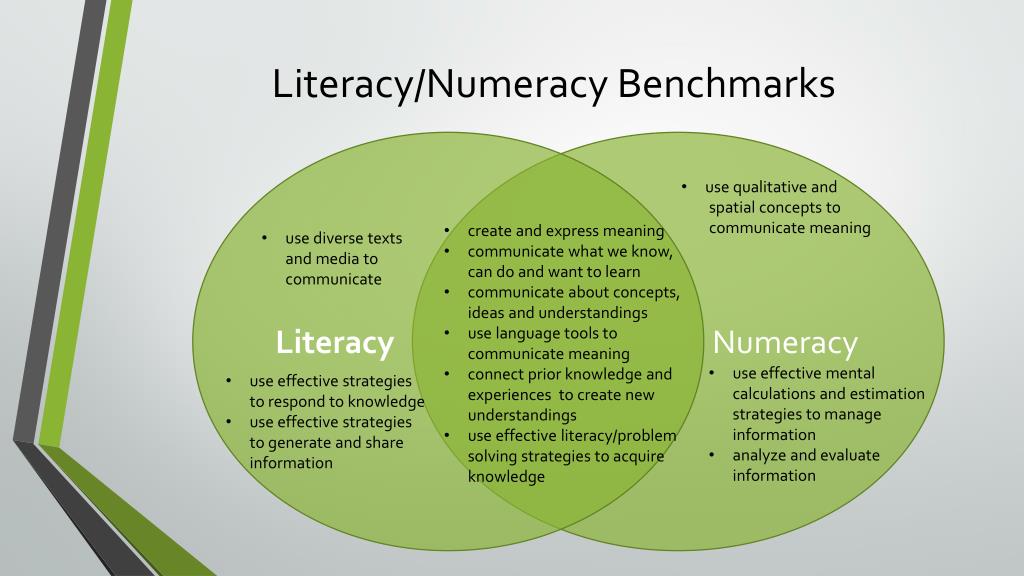 PPT Literacy And Numeracy Benchmarks PowerPoint Presentation Free 