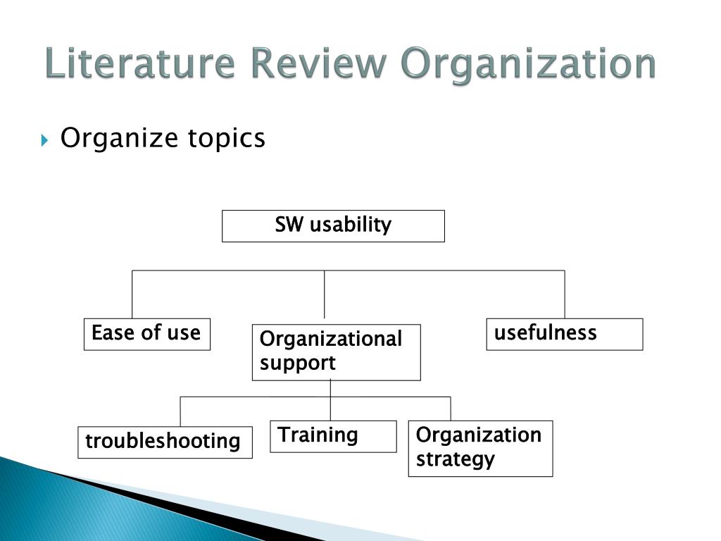 literature review organizational structure pdf