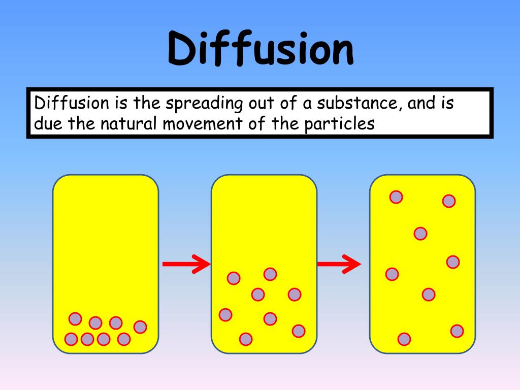 what-is-diffusion-in-states-of-matter