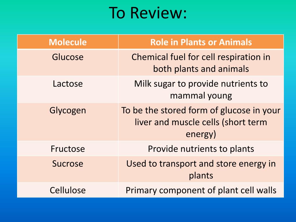 PPT - 3.2 Carbohydrates, Lipids, and Proteins PowerPoint ...