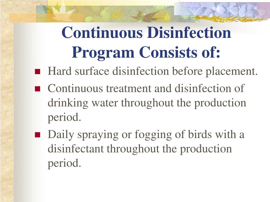 PPT Infectious Coryza in Israel Lessons from South Africa and