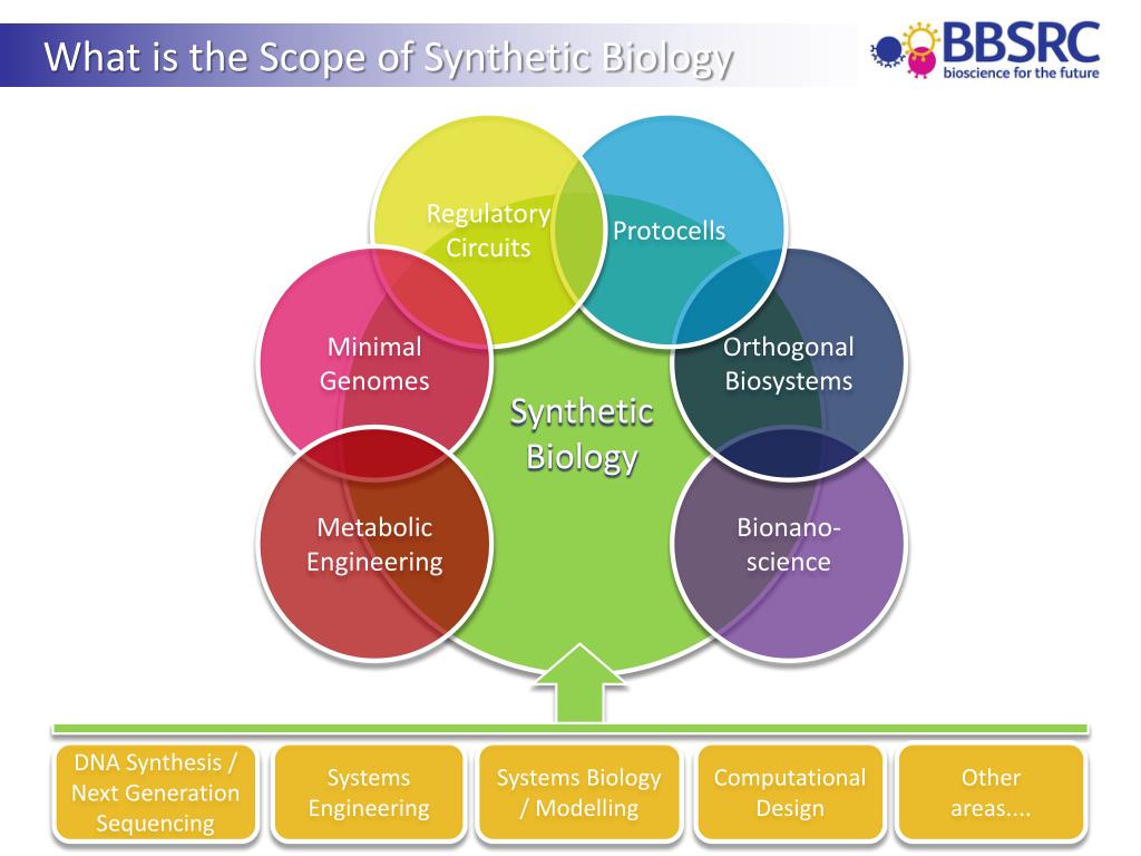 PPT WinWin Investments Synthetic Biology for growth and innovation
