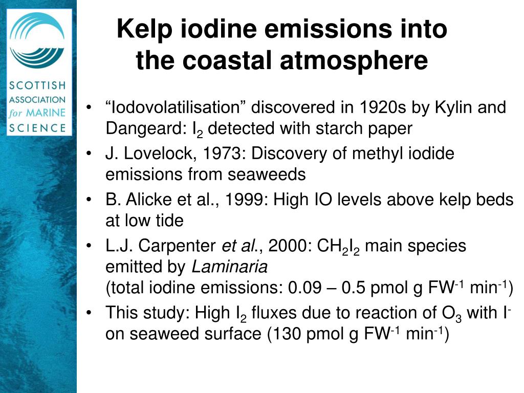 kelp iodide