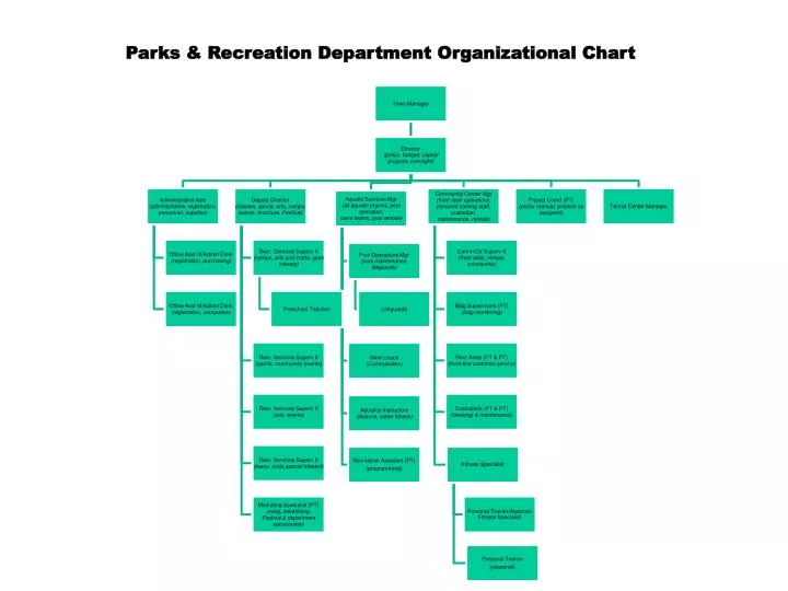 Parks And Recreation Organizational Chart