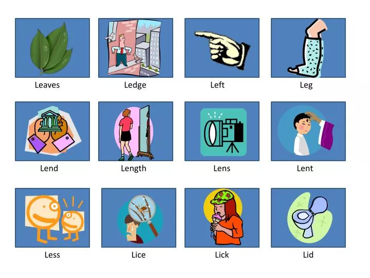 PPT - Leaves PowerPoint Presentation, free download - ID:2709273