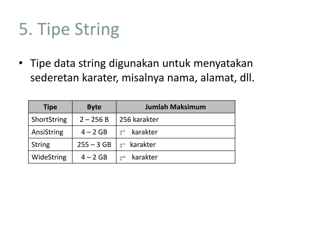 Str data. String data. Класс ANSISTRING. WIDESTRING.