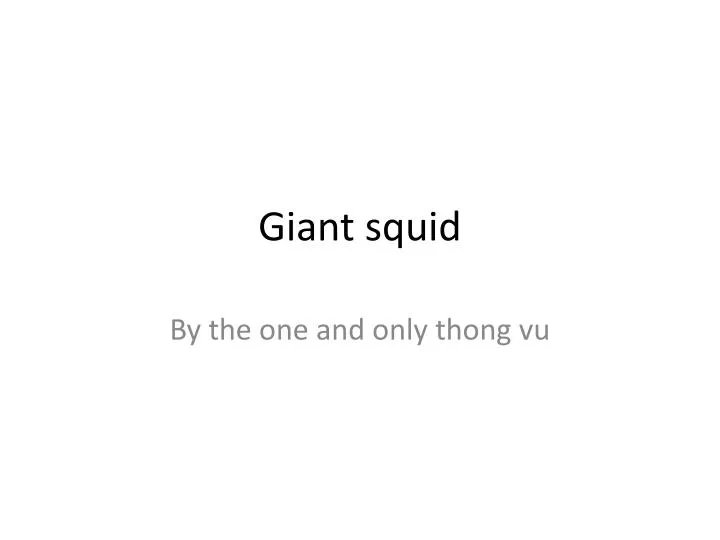 giant squid n.