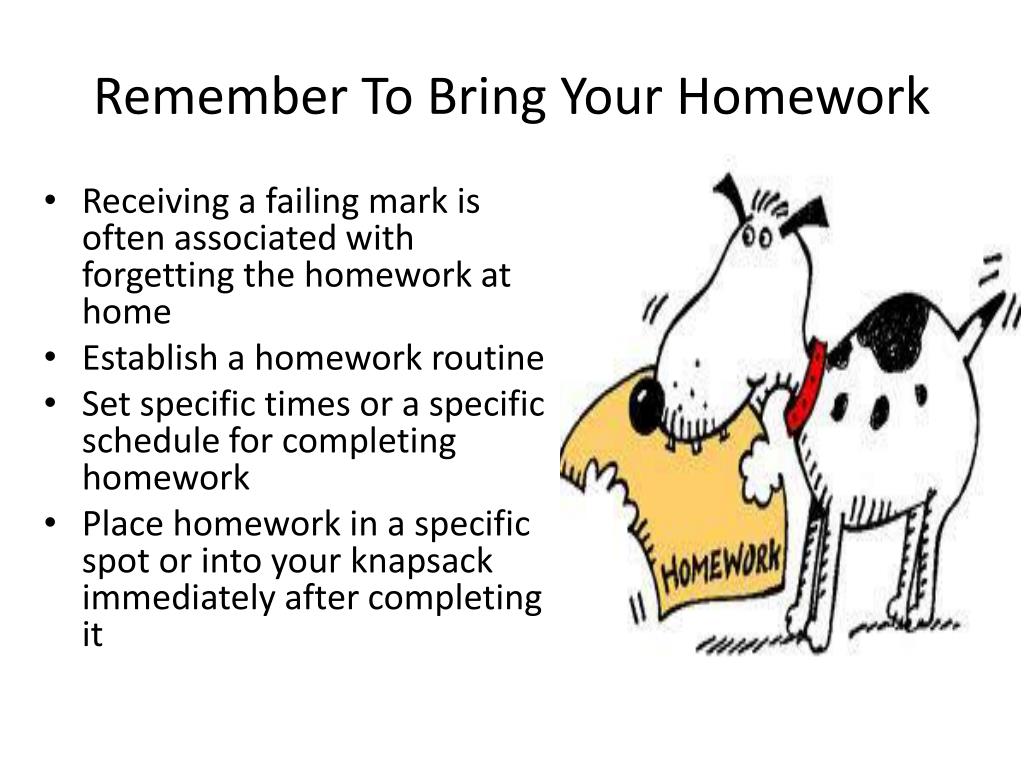 bring your homework