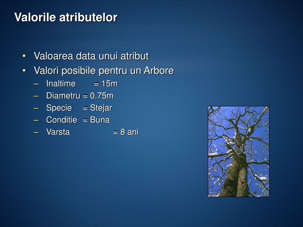 Felul Atributelor PPT - GIS Mobile PowerPoint Presentation, free download - ID:2711819