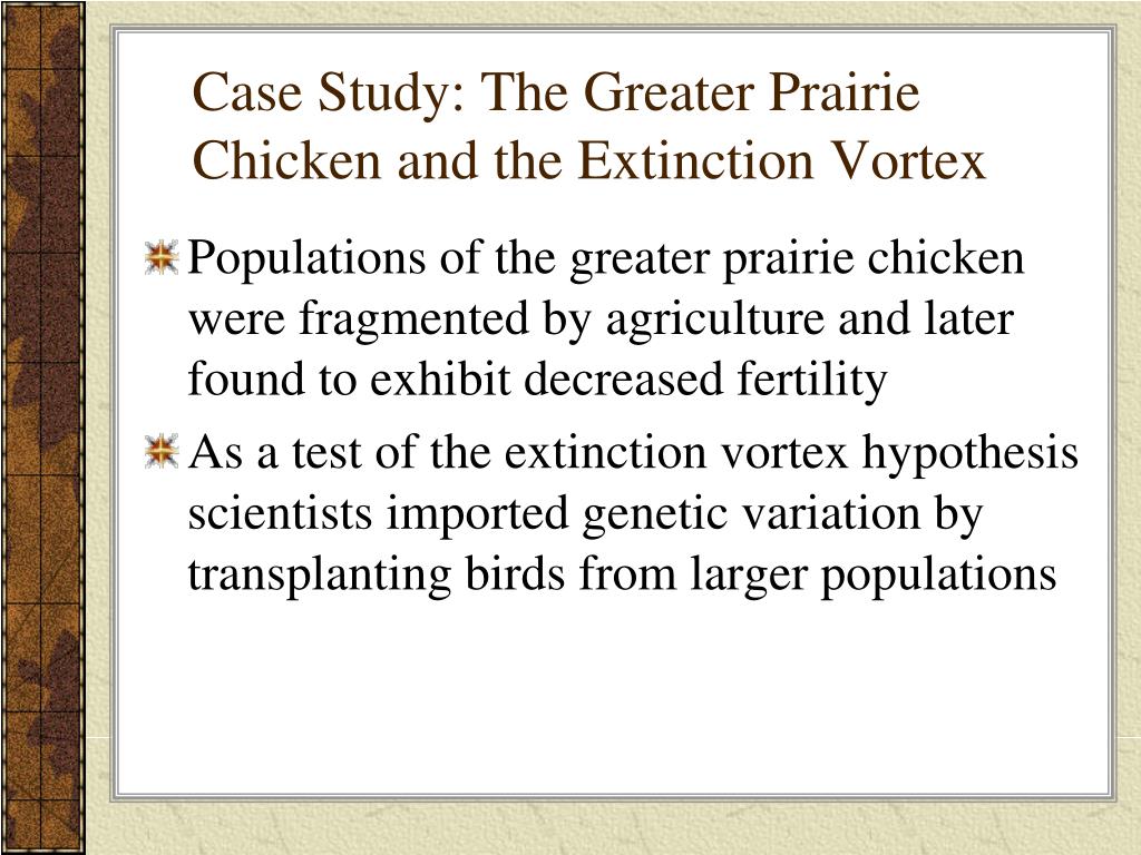 The extinction vortex