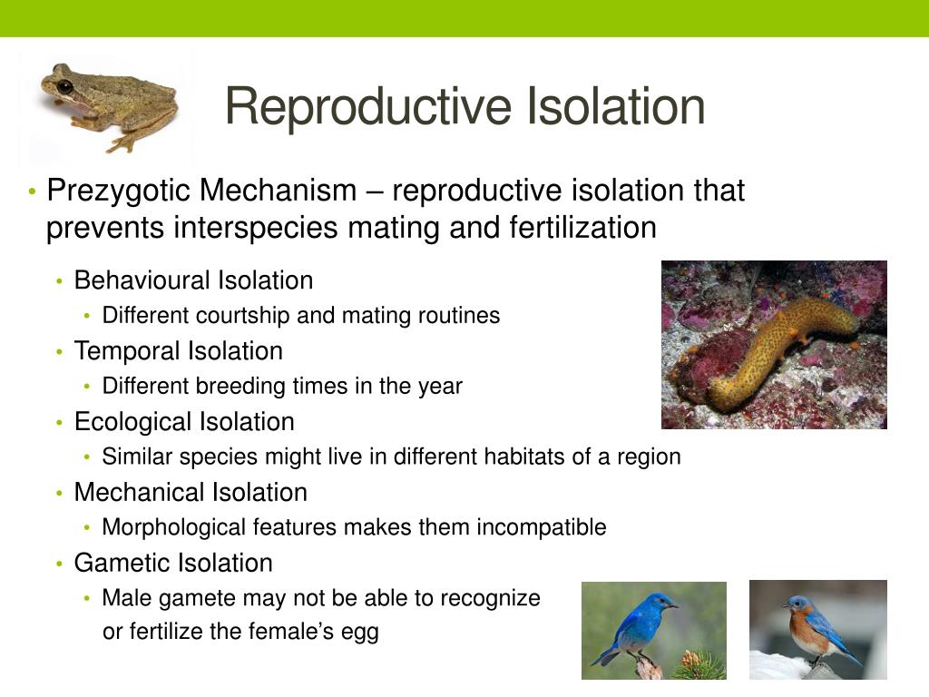 reproductive isolation definition reproductive isolation definition