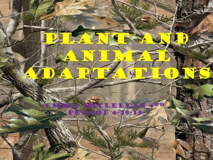plant and animal adaptations n.