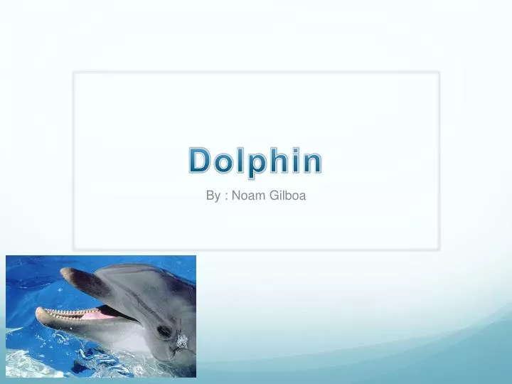 PPT - Dolphin PowerPoint Presentation, Free Download - ID:2713831