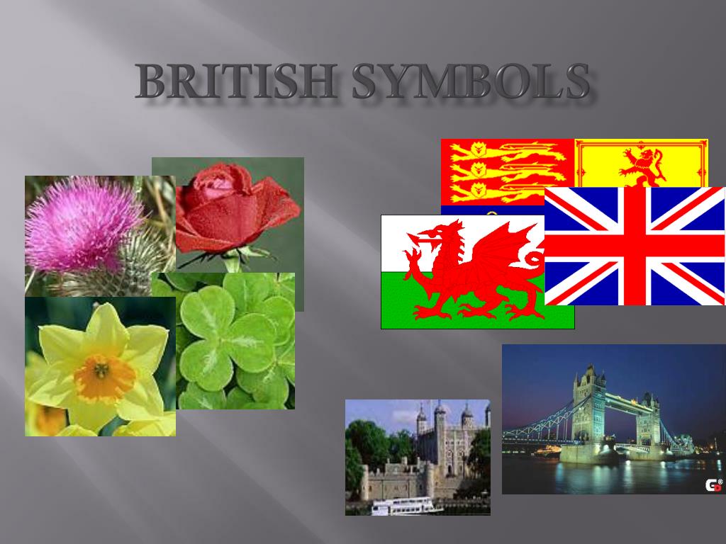 Символ великобритании 5. Символы Великобритании. Национальные символы Великобритании. Неофициальные символы Англии. Great Britain символы.