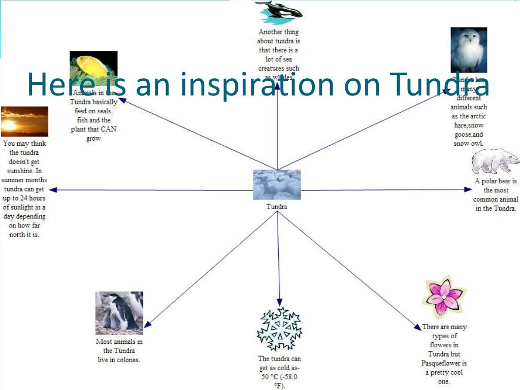 PPT - Tundra PowerPoint Presentation, free download - ID:2714437