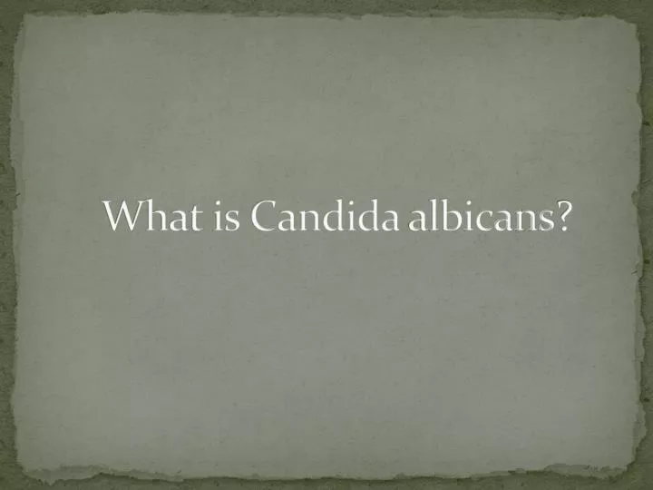 candida albicans powerpoint presentation
