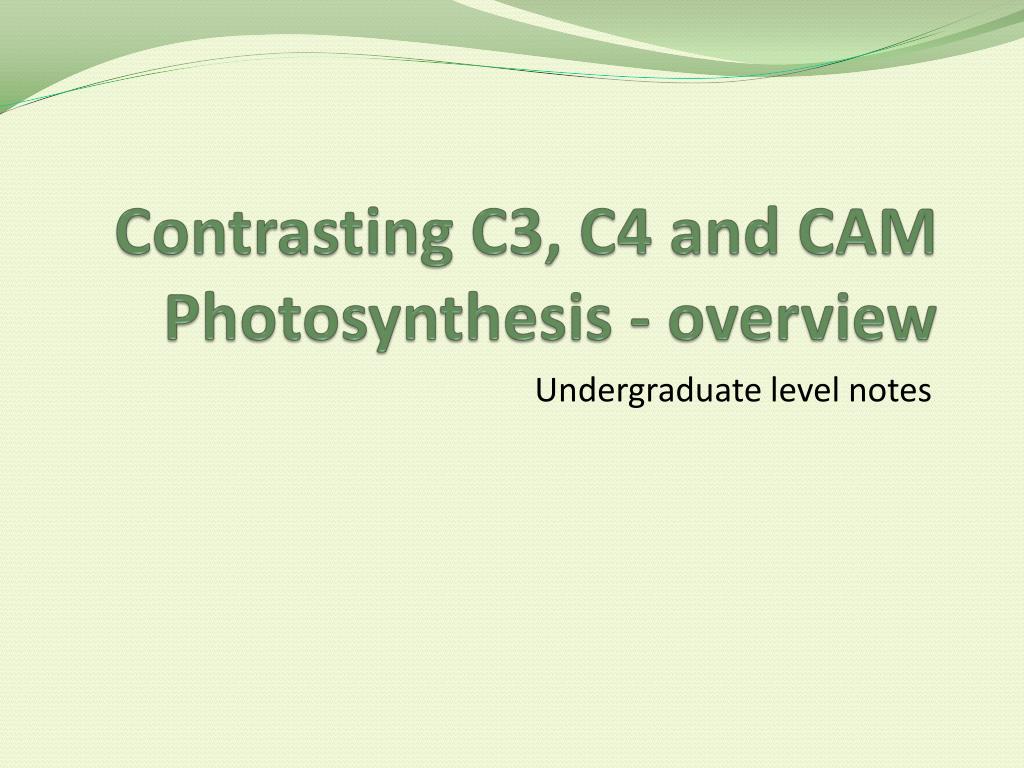 PPT - Contrasting C3, C4 and CAM Photosynthesis - overview PowerPoint  Presentation - ID:2715259