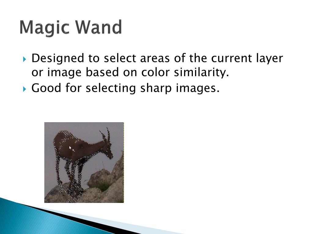 magic lasso word magic lasso word