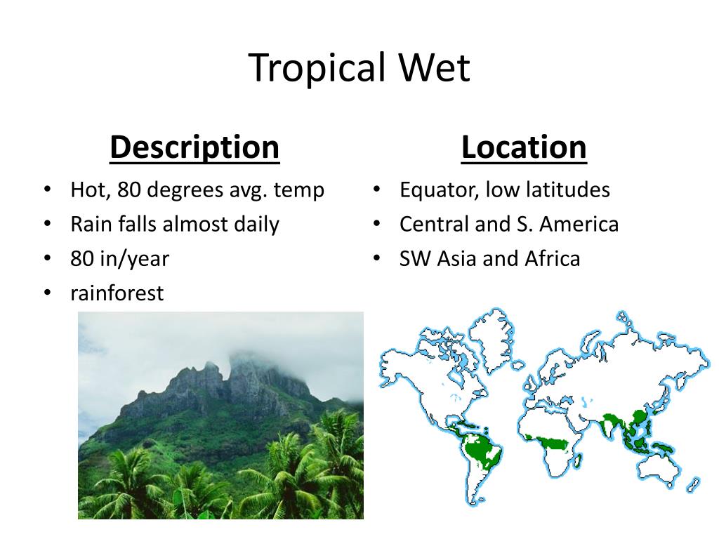 PPT World Climate Regions PowerPoint Presentation Free Download ID 