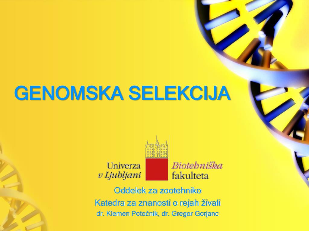 PPT - GENOMSKA SELEKCIJA PowerPoint Presentation, free download - ID:2716574