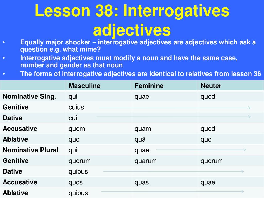 Interrogative Adjectives Worksheet Pdf