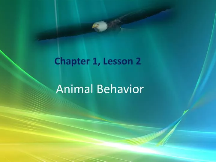 PPT Animal Behavior PowerPoint Presentation, free download ID2719373