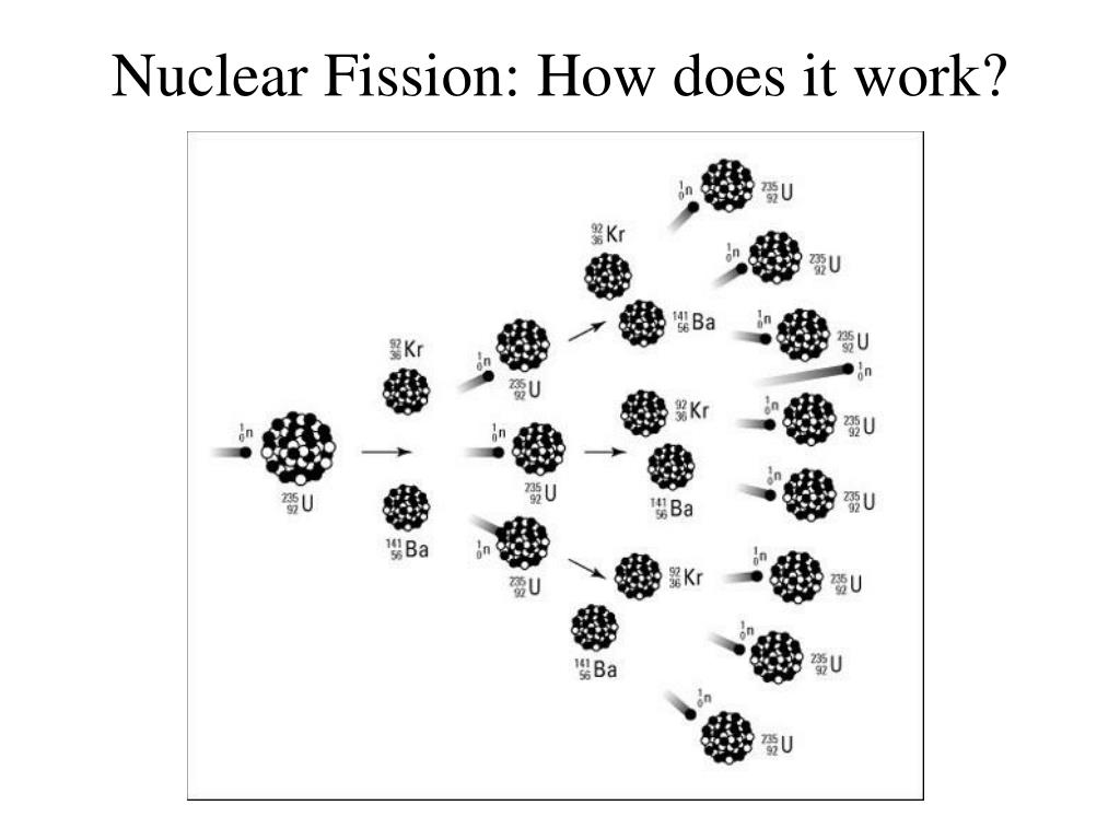 Какими нейтронами делится уран 235