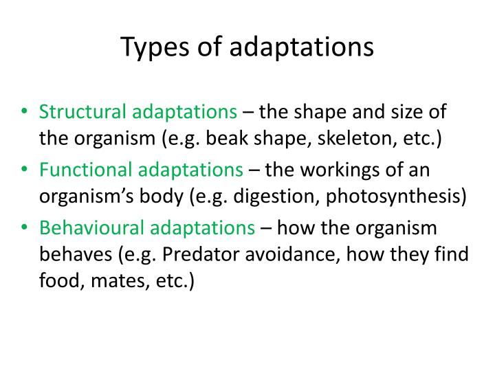 Ppt Adaptations Powerpoint Presentation Id2721754