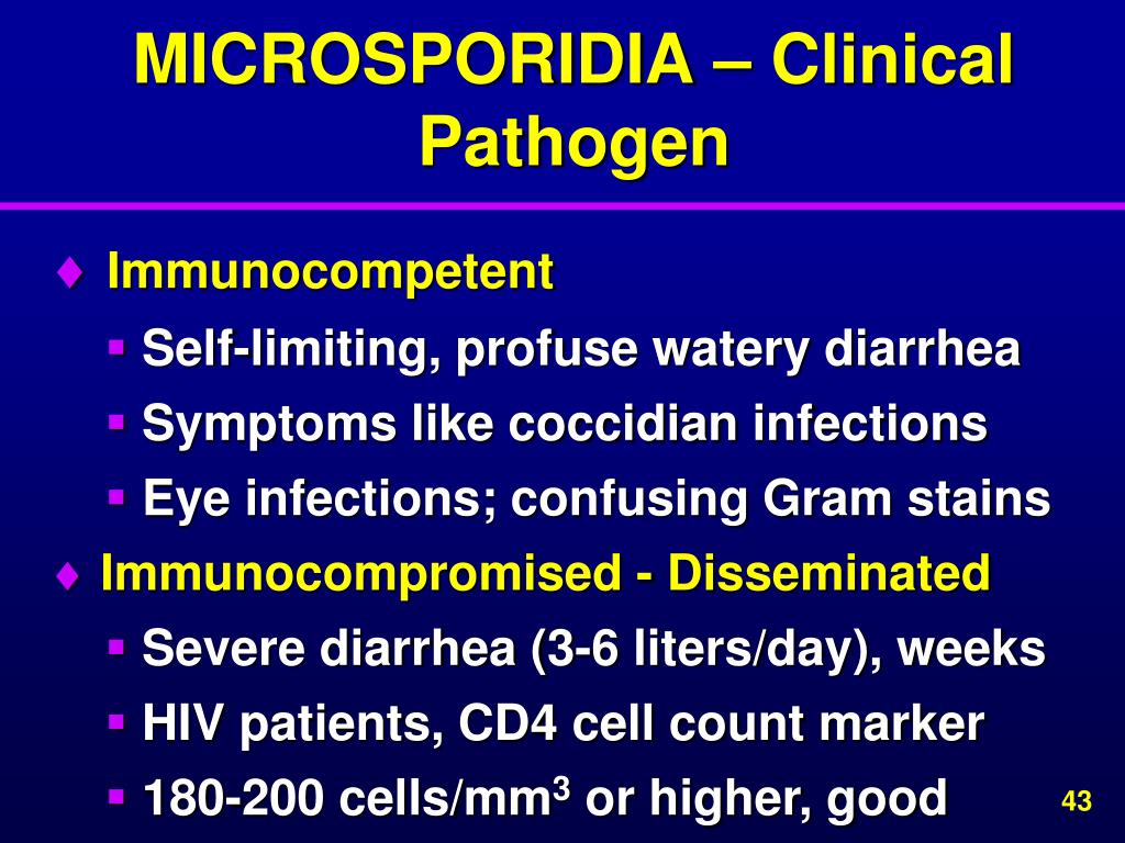 PPT - 2013 PARASITOLOGY WORKSHOP Lynnegarcia2@verizon PowerPoint