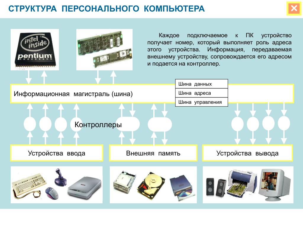 Первое Знакомство С Компьютером 8 Класс