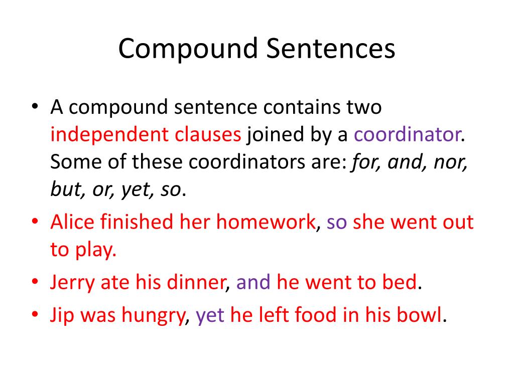 Sentences in english