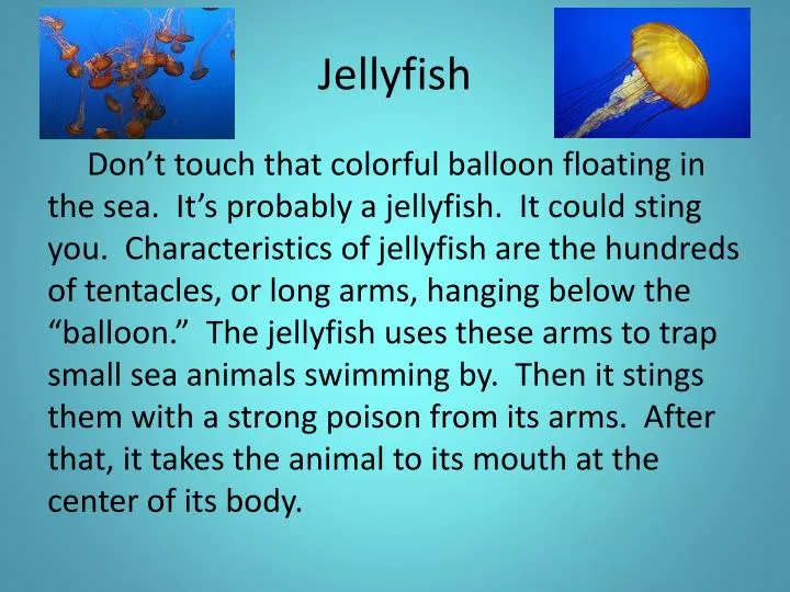 Ppt Jellyfish Powerpoint Presentation Free Download Id 2727087