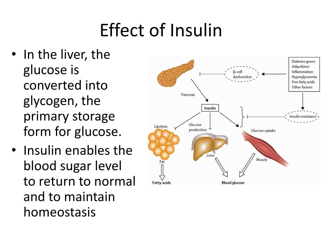 PPT - Hormones that Affect Blood Sugar PowerPoint Presentation, free