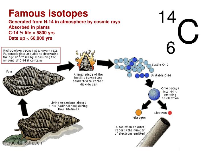 atomic lithium-8 number Subatomic  Heavyweights PPT  ID PowerPoint   Presentation