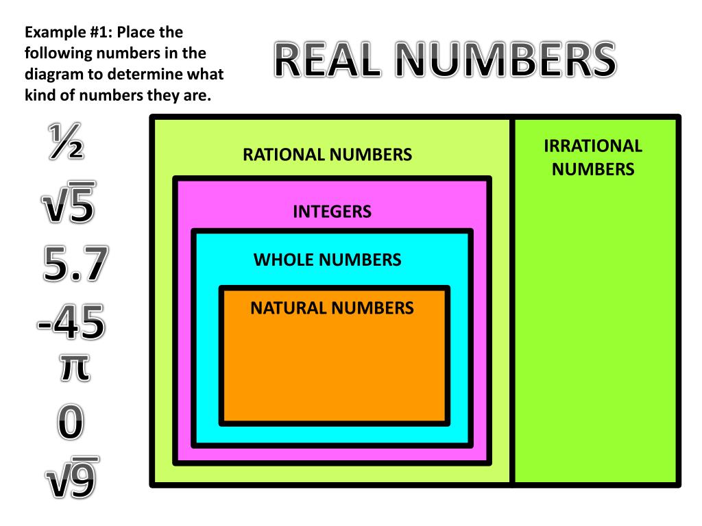 PPT - The Real Number System PowerPoint Presentation, free download ...