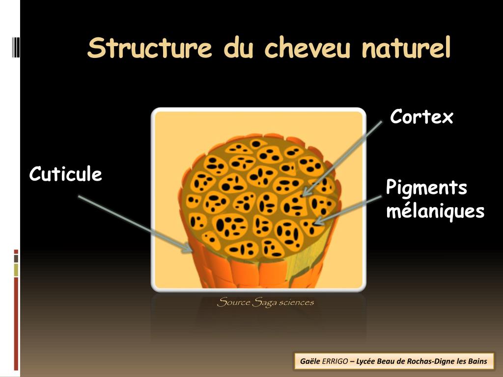 PPT - Lisa , votre nouvelle cliente désire changer de couleur ...