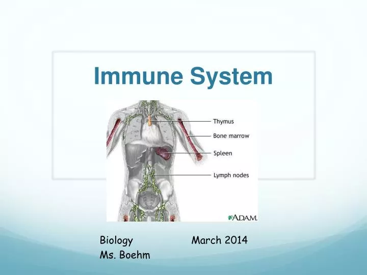 ppt-immune-system-powerpoint-presentation-free-download-id-2733174