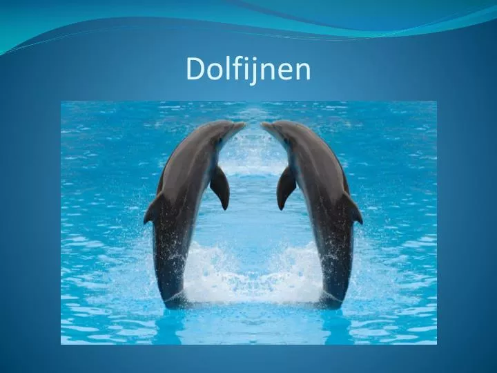 PPT - Dolfijnen PowerPoint Presentation, free download - ID:2733224