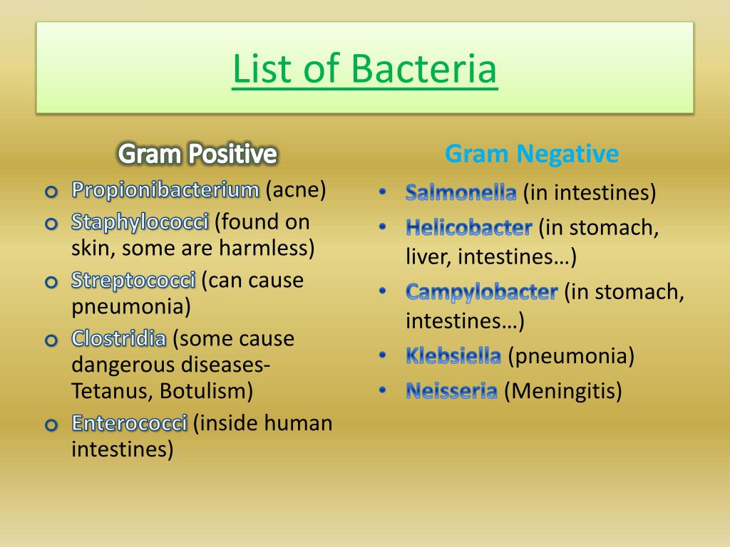 PPT - Bacterial Reproduction PowerPoint Presentation, free download