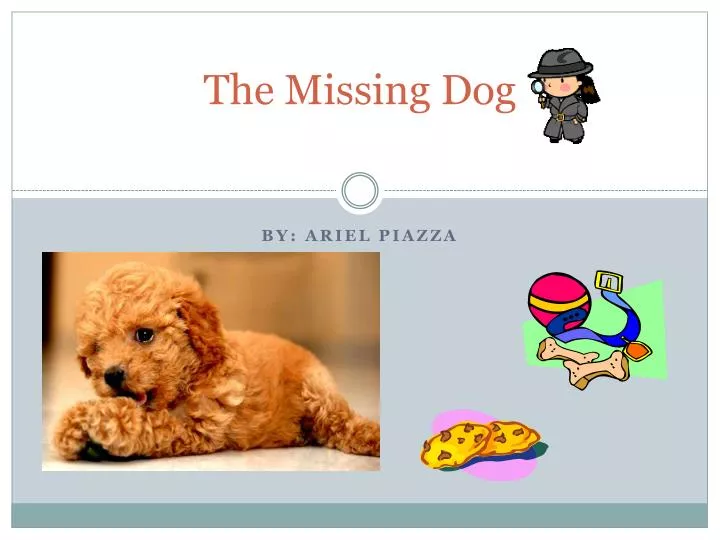 the missing dog n.