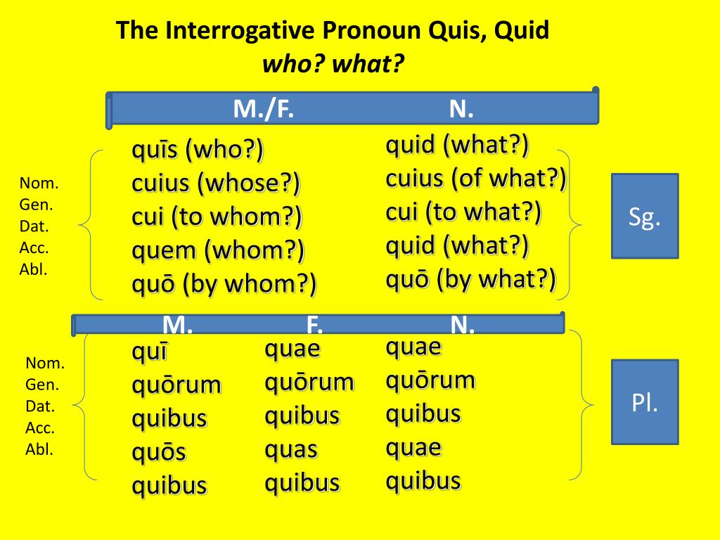Latin Relative Pronouns Chart