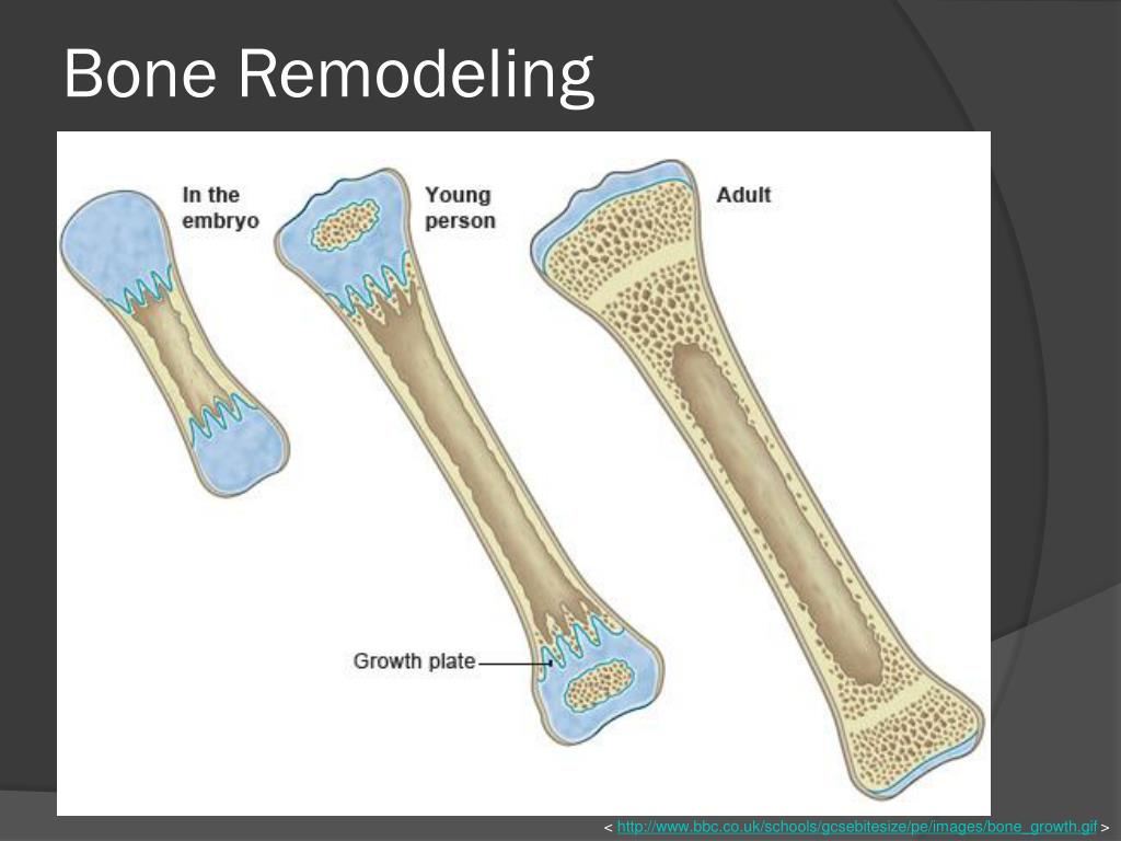 Increasing Bone quality through Low Biology Diagrams