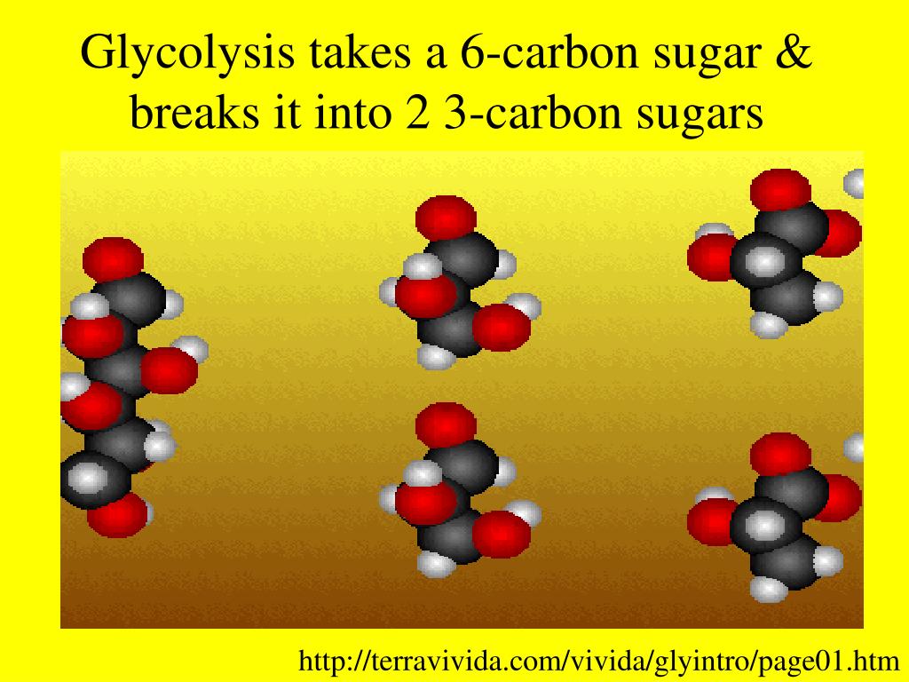 Глюкоза углерод вода