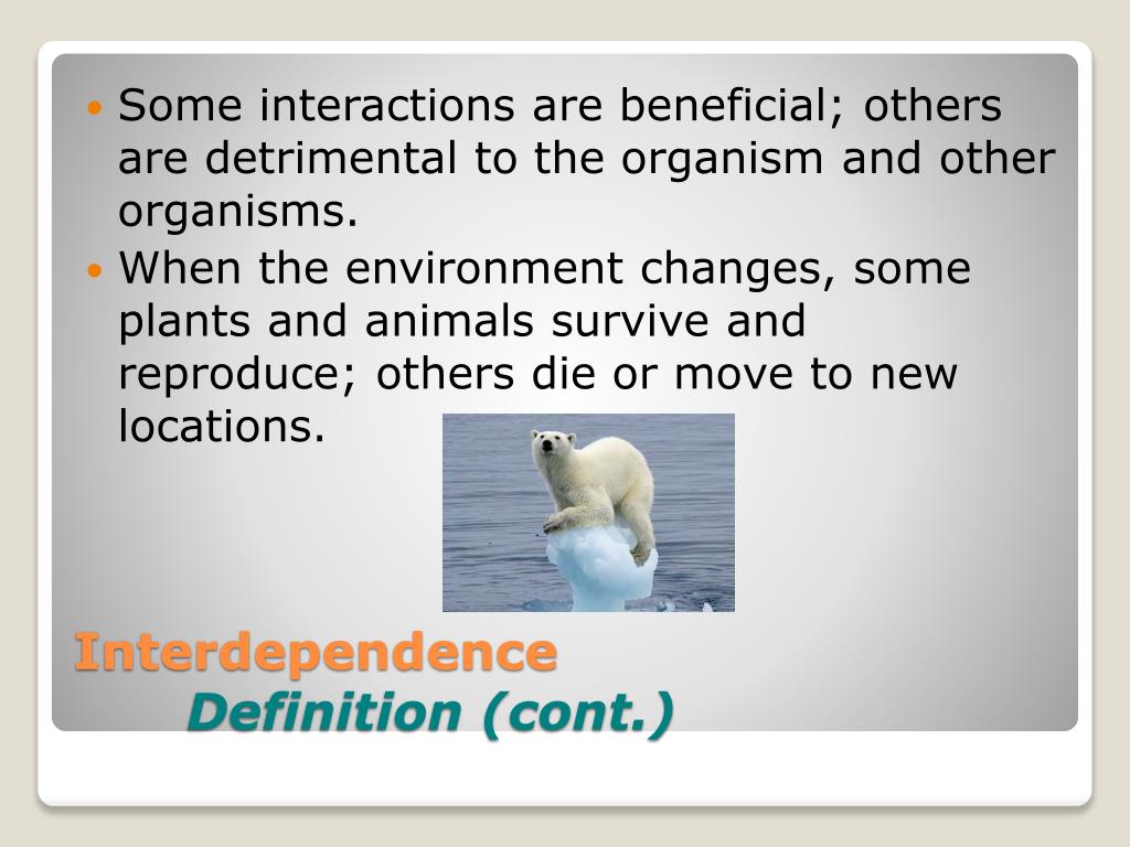 definition of sequential interdependence definition of sequential interdependence