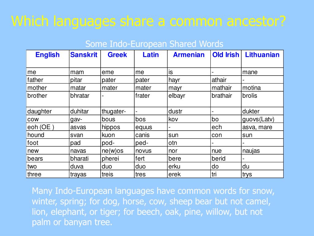 Share на английском. Dialectal Words. Dialectal Words in English. Shared Words 5 класс. Dialect Words examples in English.